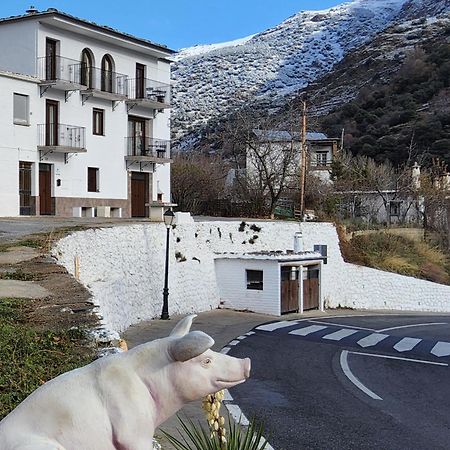 Alojamiento Rural Casa Clara La Pescaora Trevélez Exterior photo