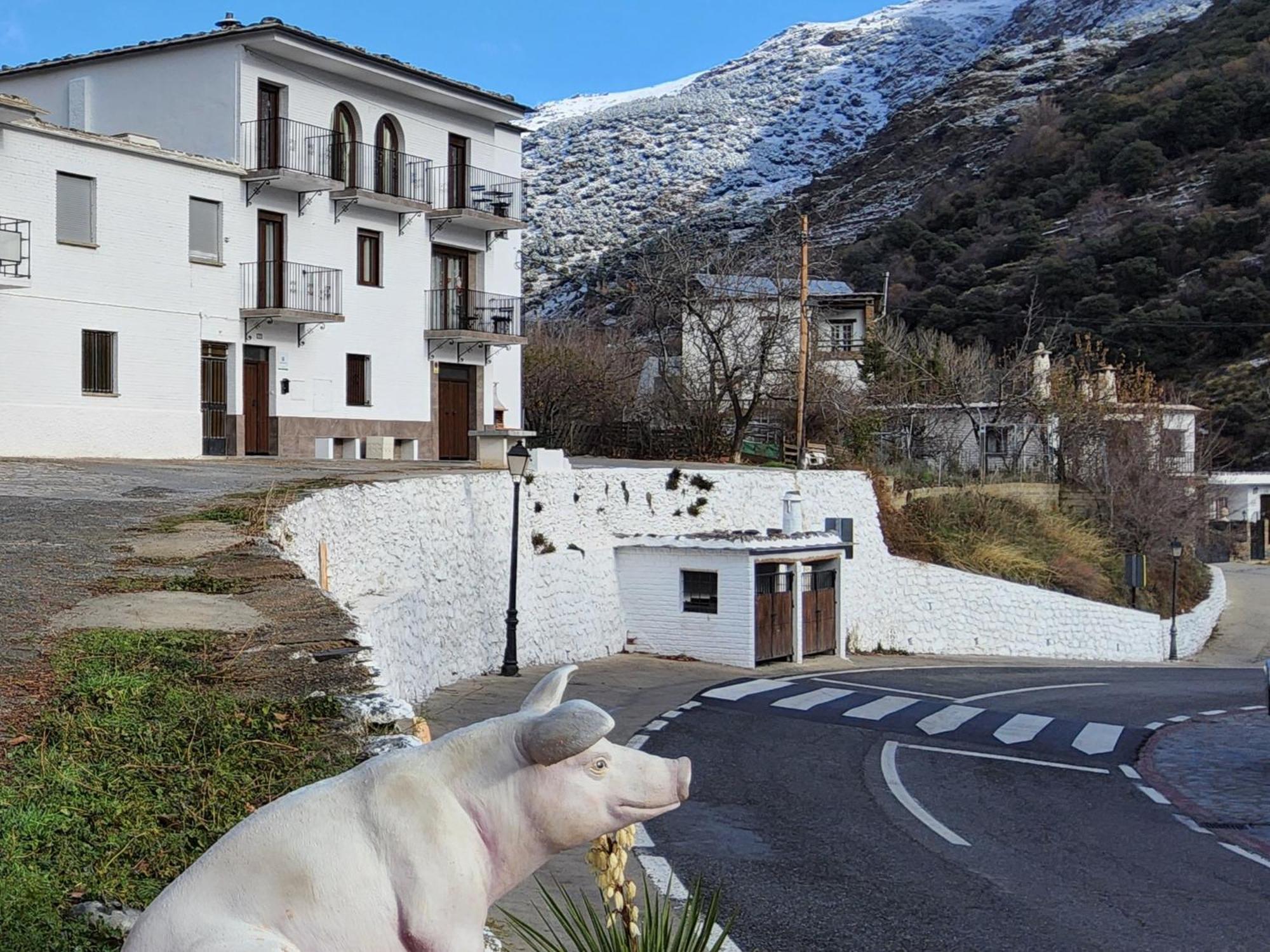 Alojamiento Rural Casa Clara La Pescaora Trevélez Exterior photo
